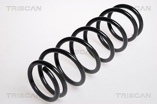 Triscan Fahrwerksfeder [Hersteller-Nr. 87506923] für Suzuki