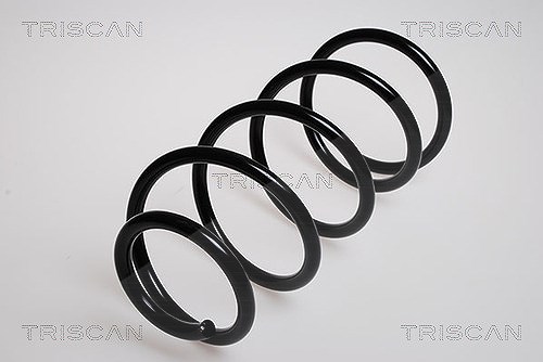 Triscan Fahrwerksfeder [Hersteller-Nr. 875016015] für Ford