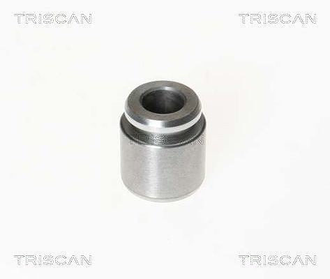 Triscan Kolben, Bremssattel [Hersteller-Nr. 8170232801] für VW, Porsche, Audi