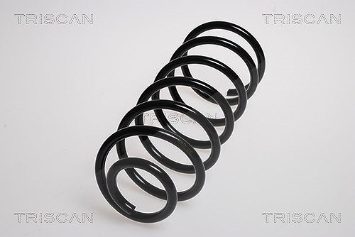Triscan Fahrwerksfeder [Hersteller-Nr. 87504343] für Hyundai