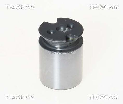 Triscan Kolben, Bremssattel [Hersteller-Nr. 8170233860] für Citroën, Toyota