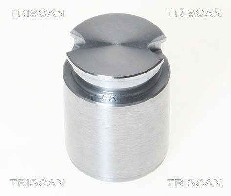 Triscan Kolben, Bremssattel [Hersteller-Nr. 8170233631] für Opel, Vauxhall