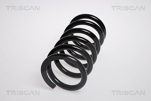 Triscan Fahrwerksfeder [Hersteller-Nr. 87504249] für Mitsubishi
