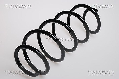 Triscan Fahrwerksfeder [Hersteller-Nr. 875016023] für Ford