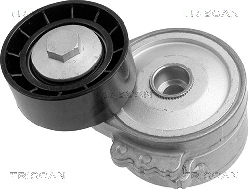Triscan Spannarm, Keilrippenriemen [Hersteller-Nr. 8641103001] für Fiat, Peugeot, Citroën
