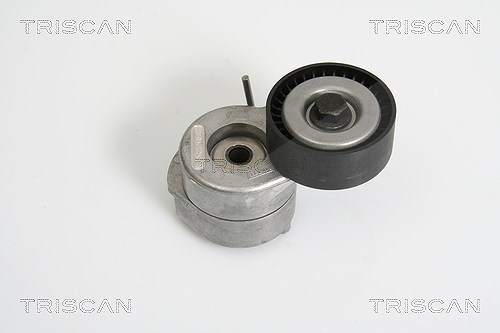 Triscan Spannarm, Keilrippenriemen [Hersteller-Nr. 8641103019] für Opel, Fiat, Suzuki, Vauxhall, Chevrolet, Alfa Romeo