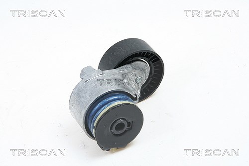 Triscan Spannarm, Keilrippenriemen [Hersteller-Nr. 8641103013] für Renault, Nissan