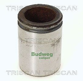 Triscan Kolben, Bremssattel [Hersteller-Nr. 8170234414] für Iveco, Renault Trucks, Renault, Nissan