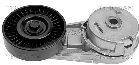 Triscan Spannarm, Keilrippenriemen [Hersteller-Nr. 8641243007] für Cadillac, Opel, Fiat, Chevrolet, Saab, Vauxhall, Alfa Romeo