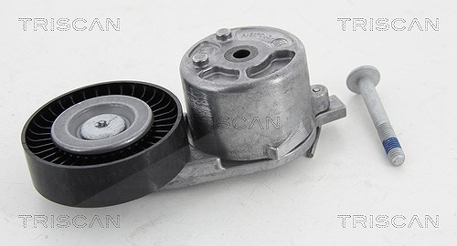 Triscan Spannarm, Keilrippenriemen [Hersteller-Nr. 8641163019] für Ford