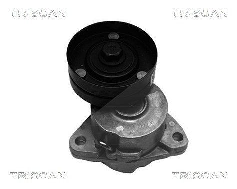 Triscan Spannarm, Keilrippenriemen [Hersteller-Nr. 8641243003] für Vauxhall, Opel, Lada, Buick, Daewoo, Cadillac, Lotus, Chevrolet