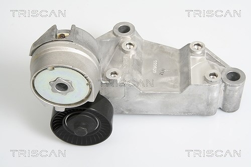 Triscan Spannarm, Keilrippenriemen [Hersteller-Nr. 8641163009] für Ford