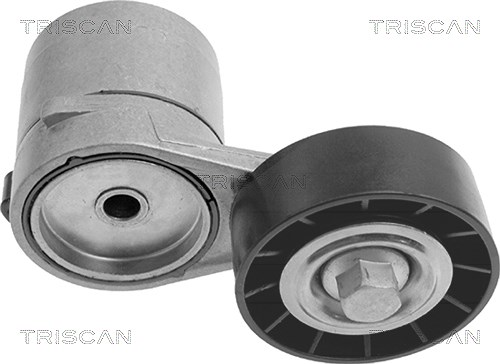Triscan Spannarm, Keilrippenriemen [Hersteller-Nr. 8641243002] für Vauxhall, Opel, Chevrolet