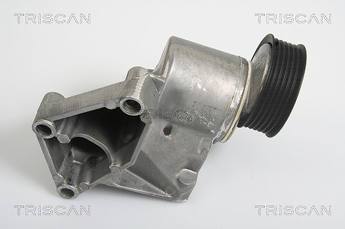 Triscan Spannarm, Keilrippenriemen [Hersteller-Nr. 8641163007] für Ford