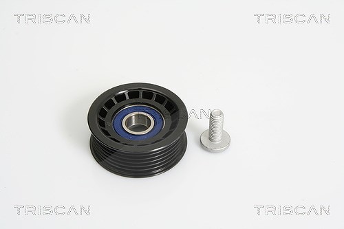 Triscan Umlenk-/Führungsrolle, Keilrippenriemen [Hersteller-Nr. 8641162005] für Ford, Jaguar