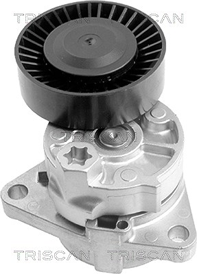 Triscan Spannarm, Keilrippenriemen [Hersteller-Nr. 8641183001] für Kia, Hyundai