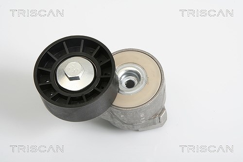 Triscan Spannarm, Keilrippenriemen [Hersteller-Nr. 8641153008] für Iveco, Karsan, Fiat