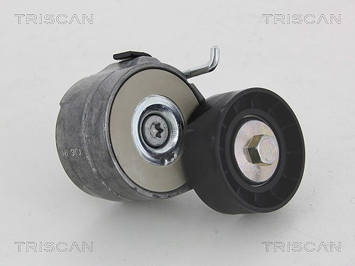 Triscan Spannarm, Keilrippenriemen [Hersteller-Nr. 8641153007] für Fiat, Chrysler, Alfa Romeo, Ford, Lancia