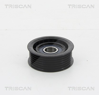 Triscan Umlenk-/Führungsrolle, Keilrippenriemen [Hersteller-Nr. 8641152021] für Lancia, Fiat, Alfa Romeo