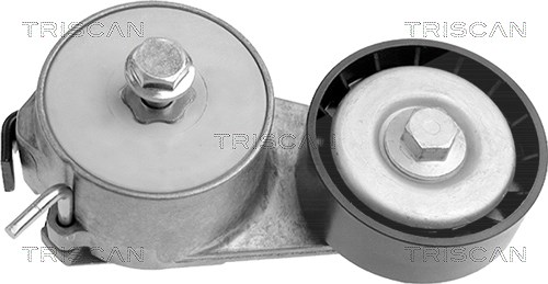 Triscan Spannarm, Keilrippenriemen [Hersteller-Nr. 8641153003] für Lancia, Fiat, Abarth, Vauxhall, Chrysler, Ford, Jeep, Alfa Romeo, Opel, Zastava, Ta