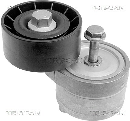 Triscan Spannarm, Keilrippenriemen [Hersteller-Nr. 8641153002] für Lancia, Fiat, Alfa Romeo