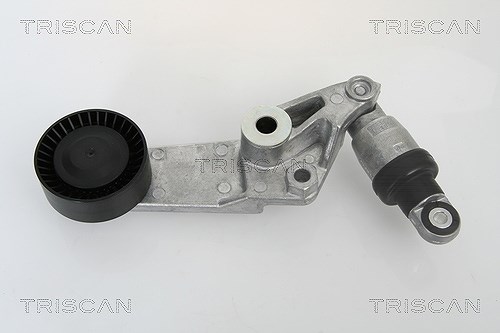 Triscan Riemenspanner, Keilrippenriemen [Hersteller-Nr. 8641133002] für Lotus, Toyota