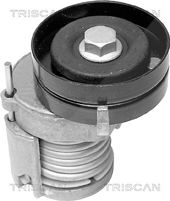 Triscan Spannarm, Keilrippenriemen [Hersteller-Nr. 8641291003] für Seat, Skoda, Audi, VW