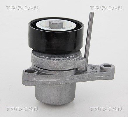 Triscan Spannarm, Keilrippenriemen [Hersteller-Nr. 8641283003] für Peugeot, Citroën