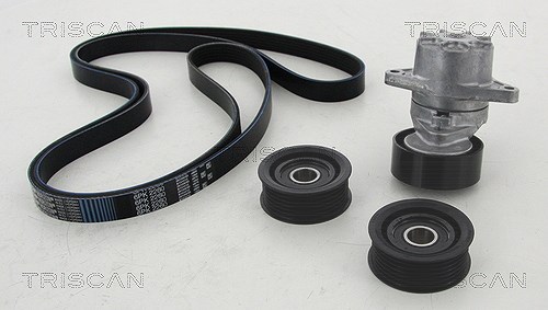 Triscan Keilrippenriemensatz [Hersteller-Nr. 864223001] für Mercedes-Benz