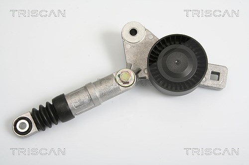 Triscan Spannarm, Keilrippenriemen [Hersteller-Nr. 8641803002] für Dodge, Chrysler