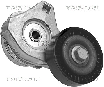 Triscan Spannarm, Keilrippenriemen [Hersteller-Nr. 8641803001] für Chrysler