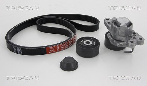 Triscan Keilrippenriemensatz [Hersteller-Nr. 864210001] für Peugeot, Fiat, Citroën