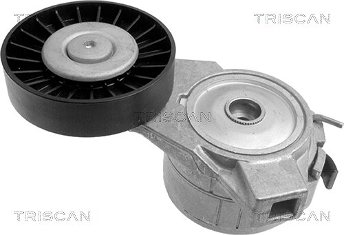 Triscan Spannarm, Keilrippenriemen [Hersteller-Nr. 8641653001] für Saab