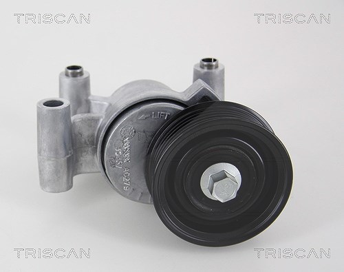Triscan Spannarm, Keilrippenriemen [Hersteller-Nr. 8641503002] für Mazda