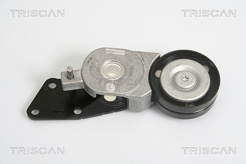 Triscan Spannarm, Keilrippenriemen [Hersteller-Nr. 8641293020] für Seat, Skoda, VW