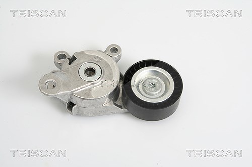 Triscan Spannarm, Keilrippenriemen [Hersteller-Nr. 8641293019] für Audi, Seat, Skoda, VW