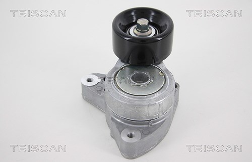 Triscan Spannarm, Keilrippenriemen [Hersteller-Nr. 8641403005] für Acura, Honda