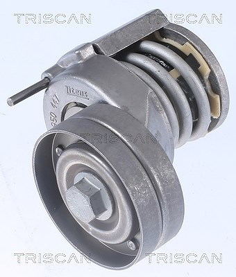 Triscan Spannarm, Keilrippenriemen [Hersteller-Nr. 8641293018] für Audi, Seat, Skoda, VW