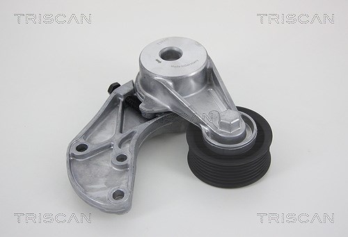 Triscan Spannarm, Keilrippenriemen [Hersteller-Nr. 8641293034] für VW, Porsche, Audi