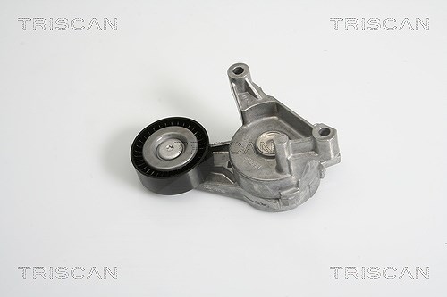 Triscan Spannarm, Keilrippenriemen [Hersteller-Nr. 8641293017] für VW, Skoda, Audi, Seat