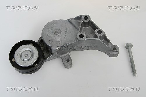Triscan Spannarm, Keilrippenriemen [Hersteller-Nr. 8641293014] für Skoda, VW, Audi, Seat