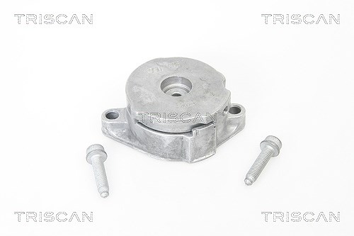 Triscan Spannarm, Keilrippenriemen [Hersteller-Nr. 8641293012] für Seat, VW, Ford, Audi