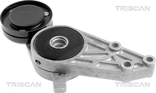 Triscan Spannarm, Keilrippenriemen [Hersteller-Nr. 8641293006] für Audi, VW, Skoda