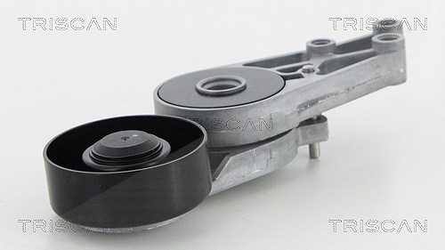 Triscan Spannarm, Keilrippenriemen [Hersteller-Nr. 8641293009] für Audi, Seat