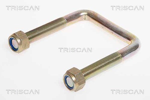 Triscan Federbride [Hersteller-Nr. 8765280001] für Citroën, Fiat, Peugeot