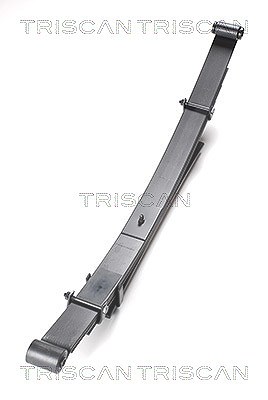 Triscan Federnpaket [Hersteller-Nr. 876542009] für Mitsubishi