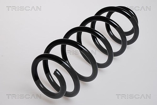 Triscan Fahrwerksfeder [Hersteller-Nr. 875029063] für Audi