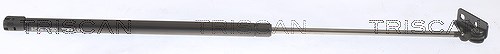 Triscan Gasfeder, Koffer-/Laderaum [Hersteller-Nr. 871043203] für Hyundai