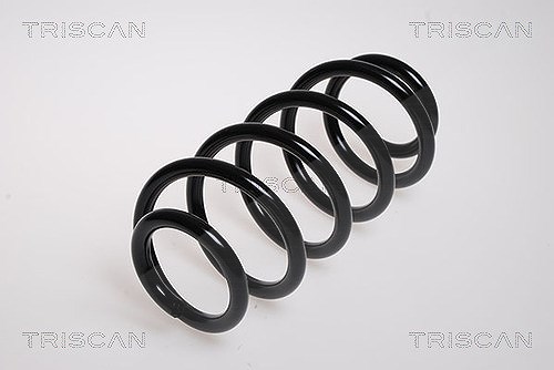 Triscan Fahrwerksfeder [Hersteller-Nr. 875029091] für Audi