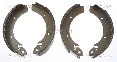 Triscan Bremsbackensatz [Hersteller-Nr. 810010272] für Mercedes-Benz, Hyundai, Ssangyong, Ford, Renault